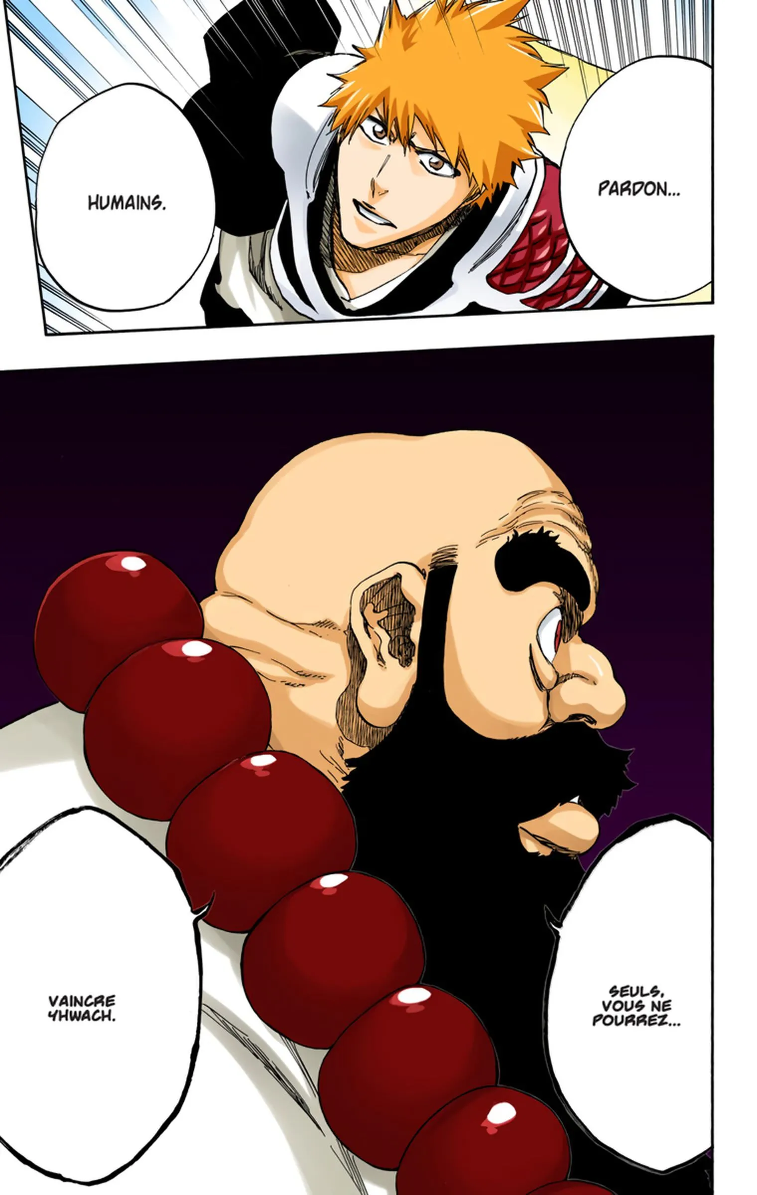 Read Bleach FR Manga Online