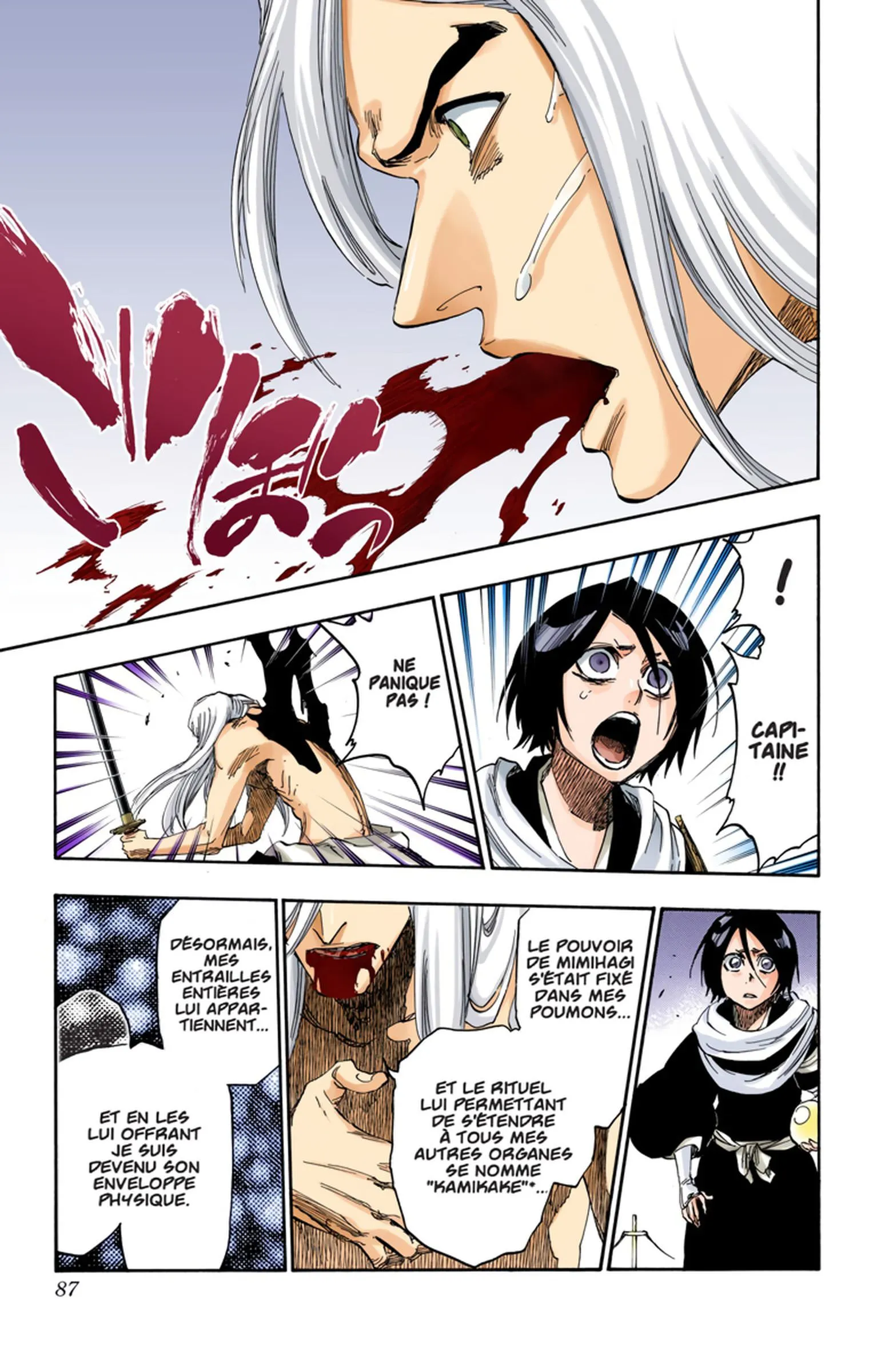 Read Bleach FR Manga Online