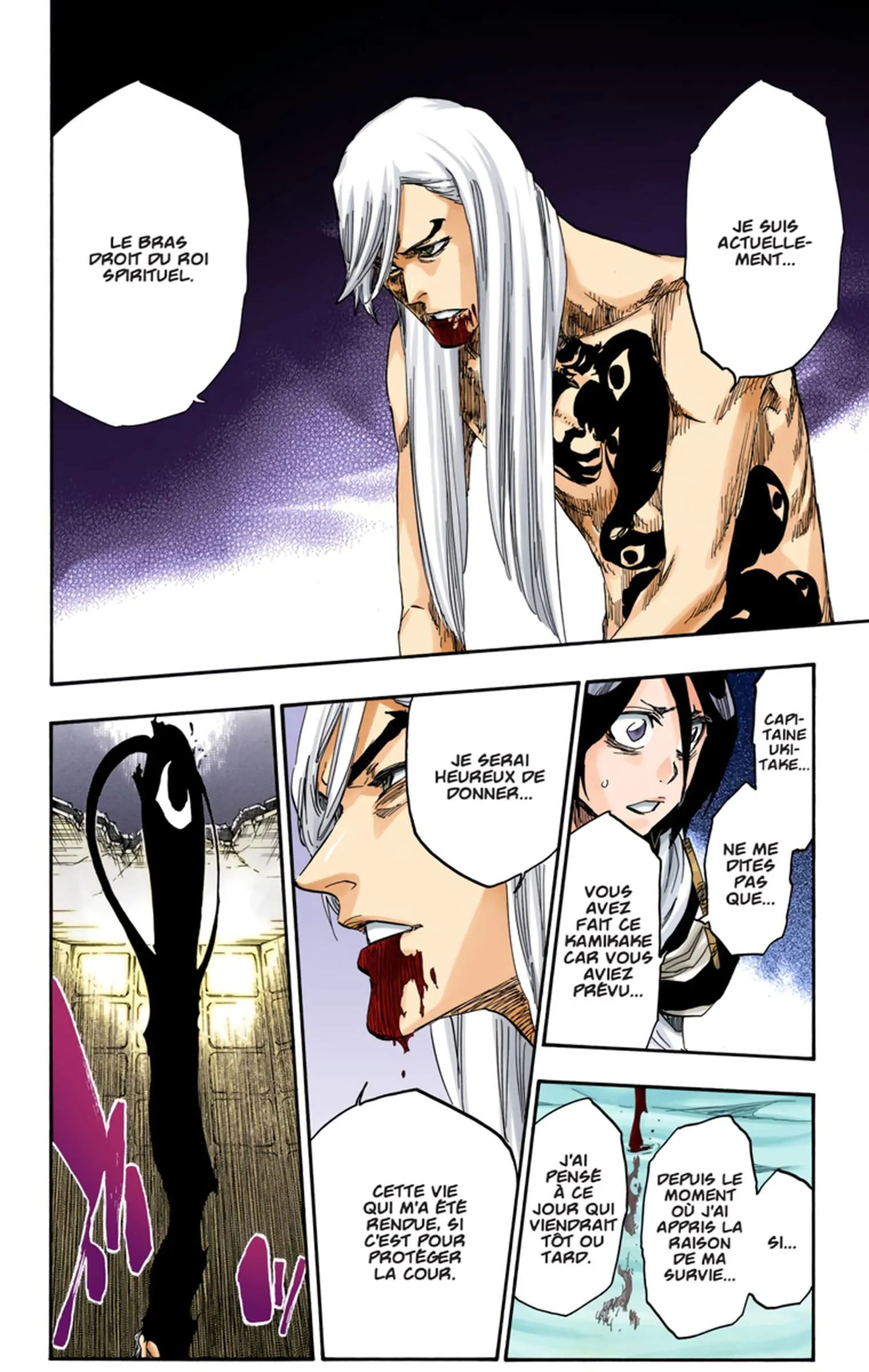 Read Bleach FR Manga Online