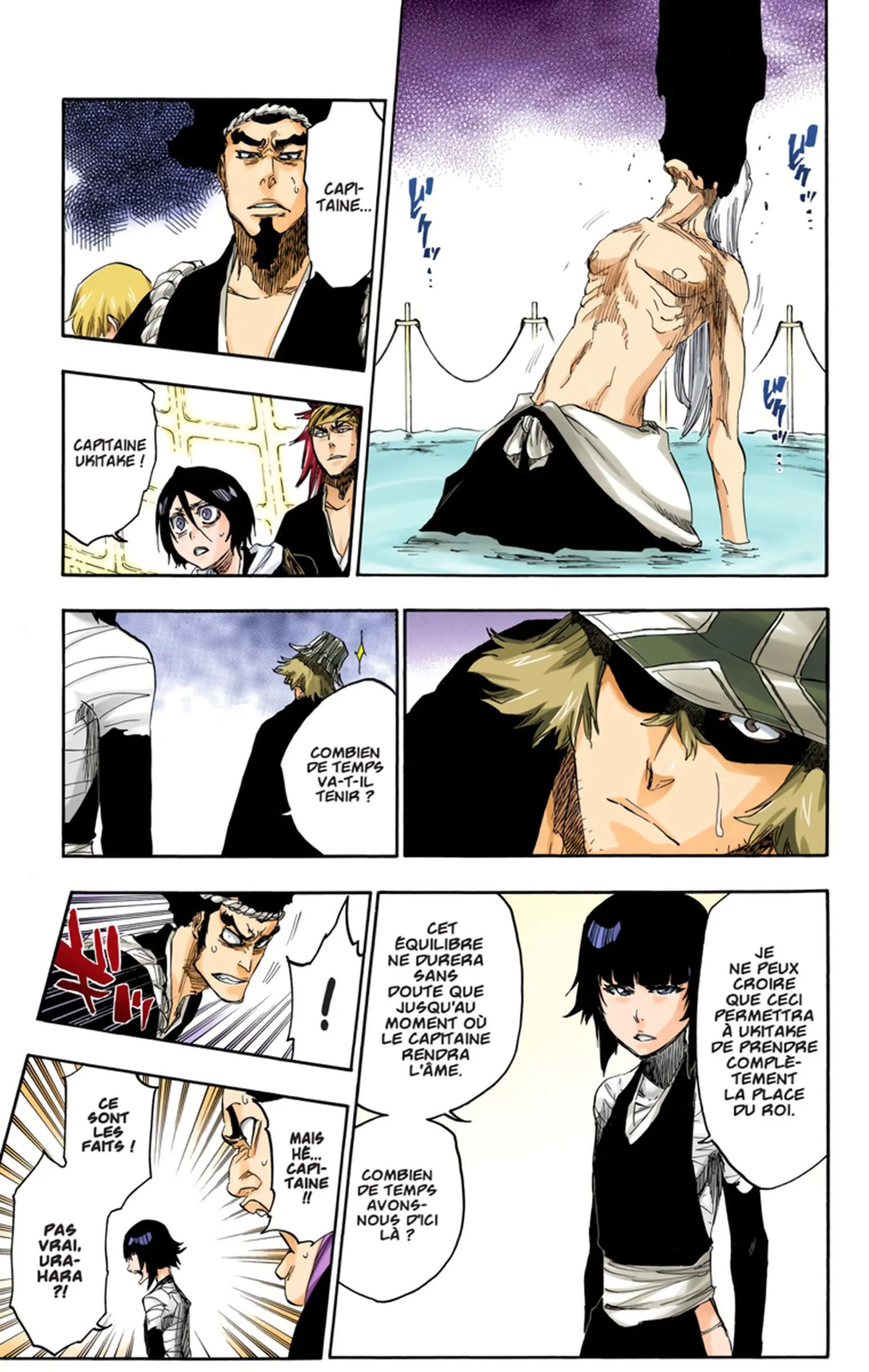 Read Bleach FR Manga Online