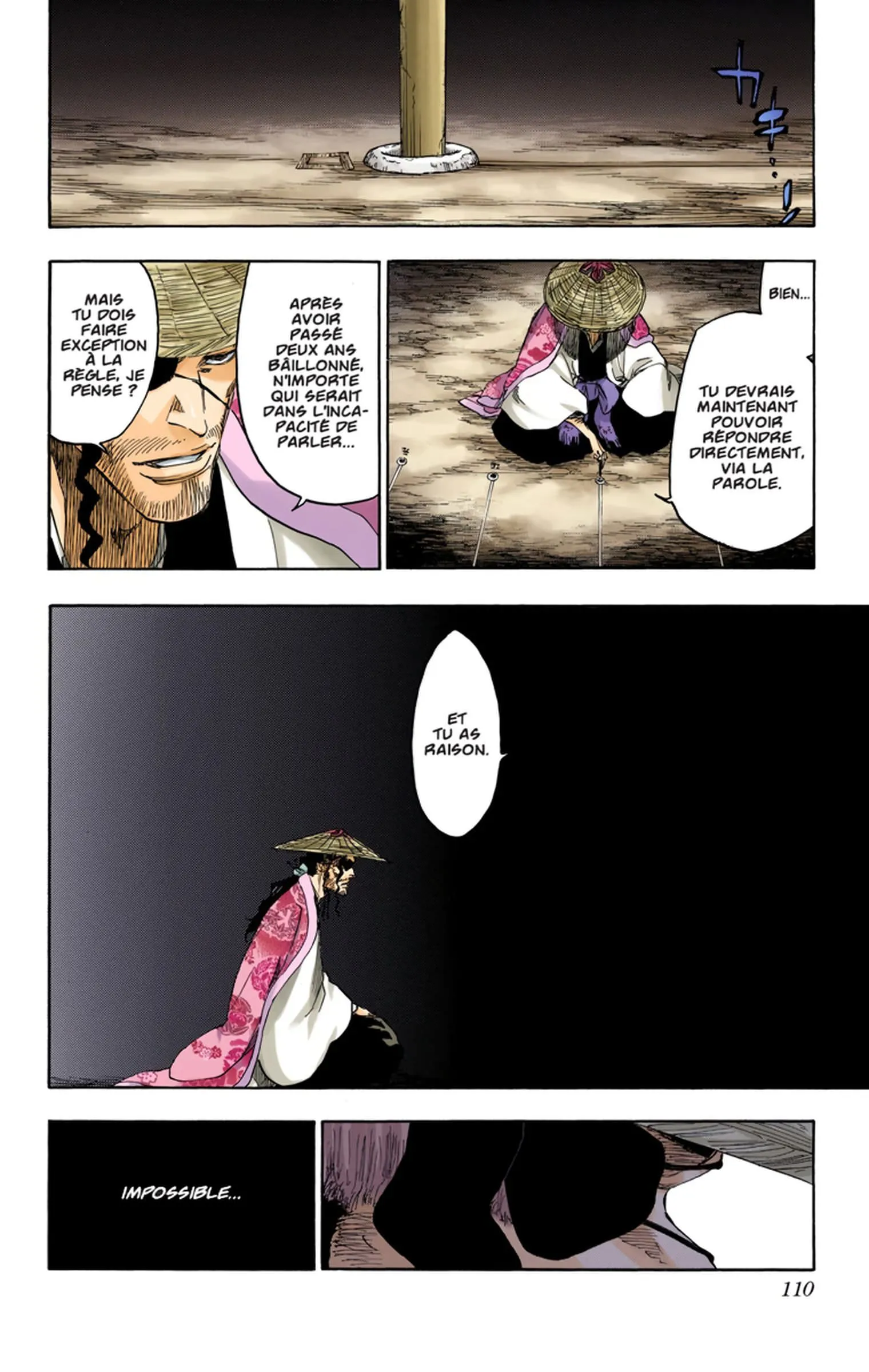 Read Bleach FR Manga Online