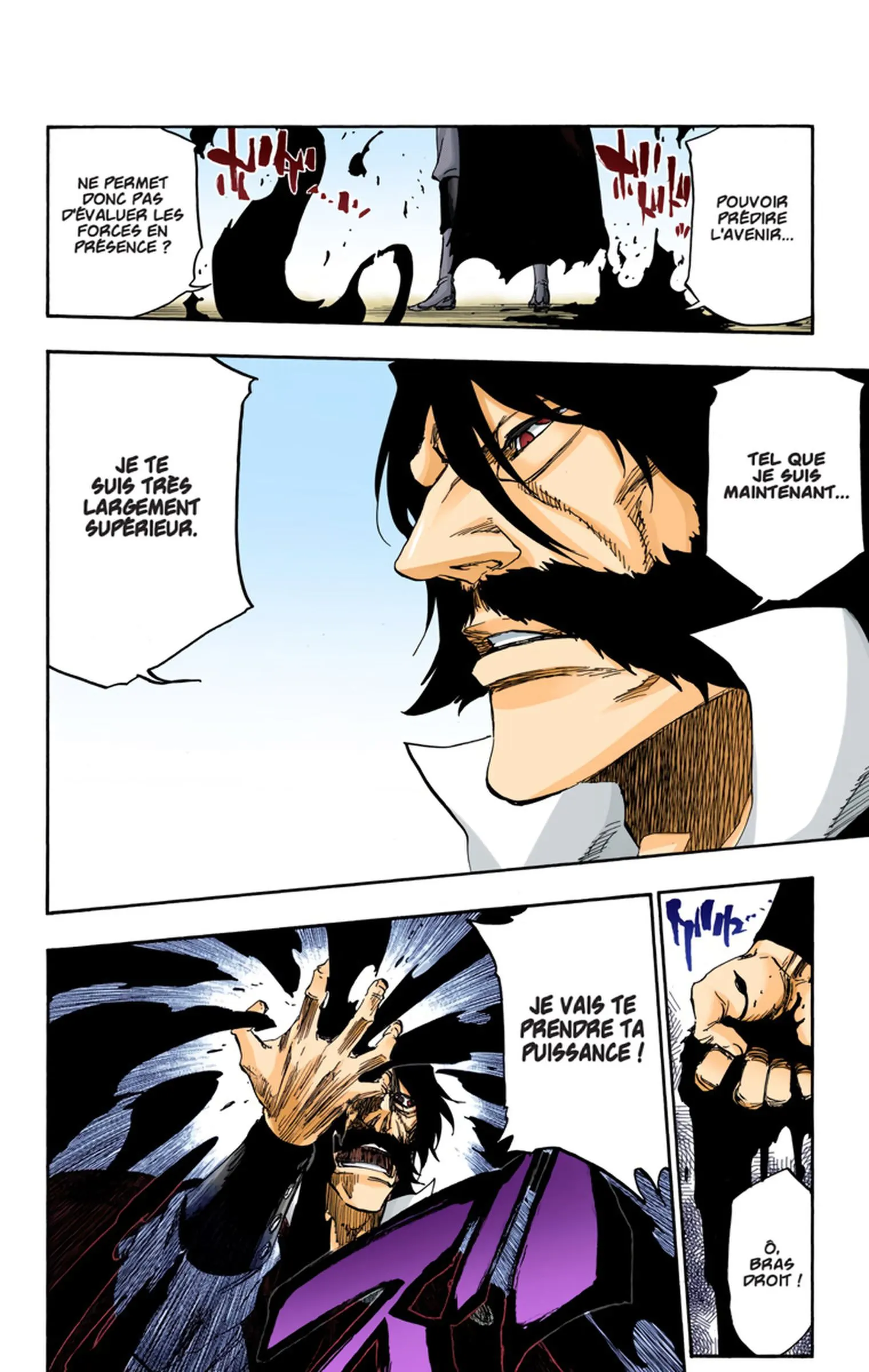 Read Bleach FR Manga Online
