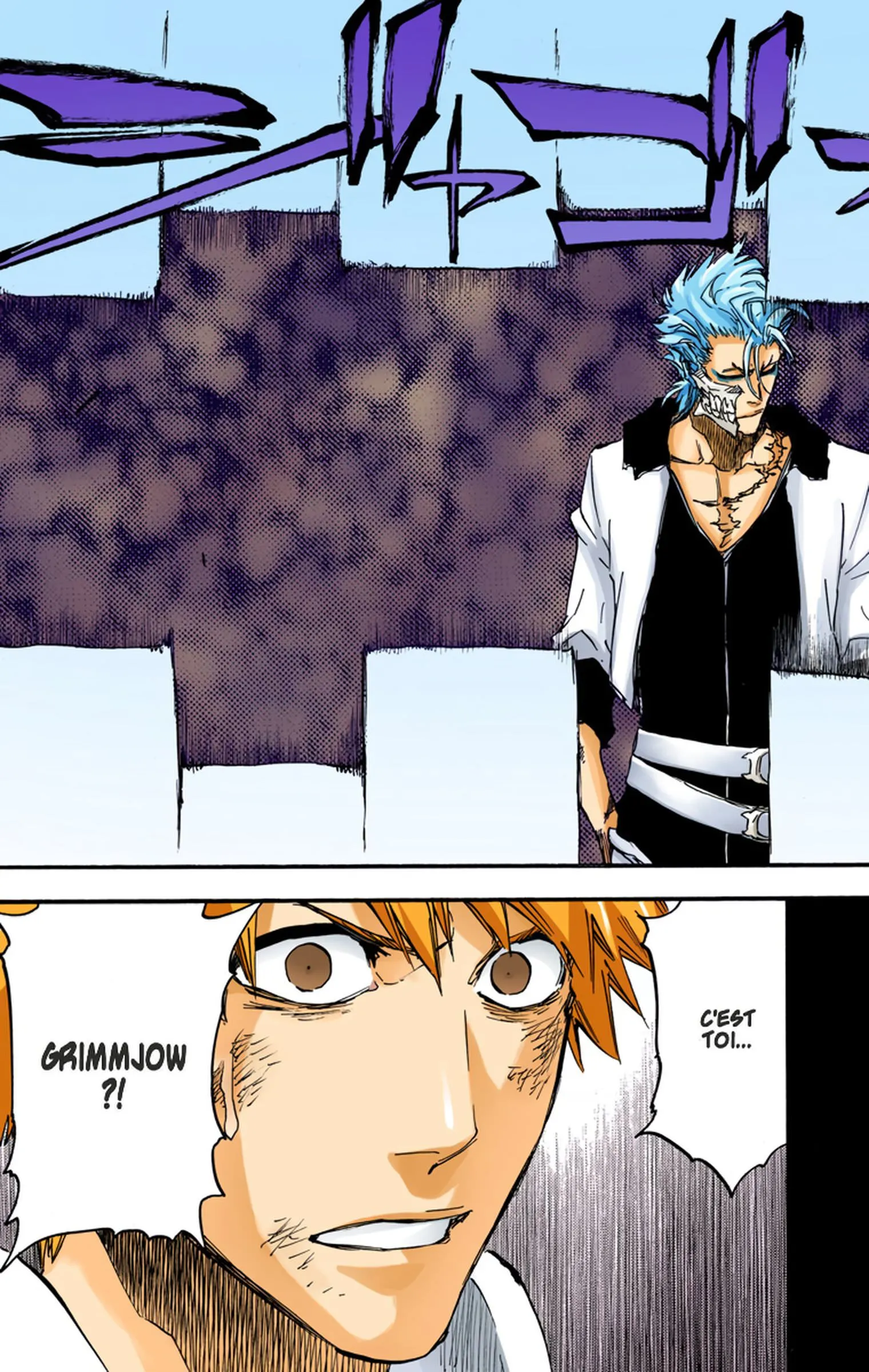 Read Bleach FR Manga Online
