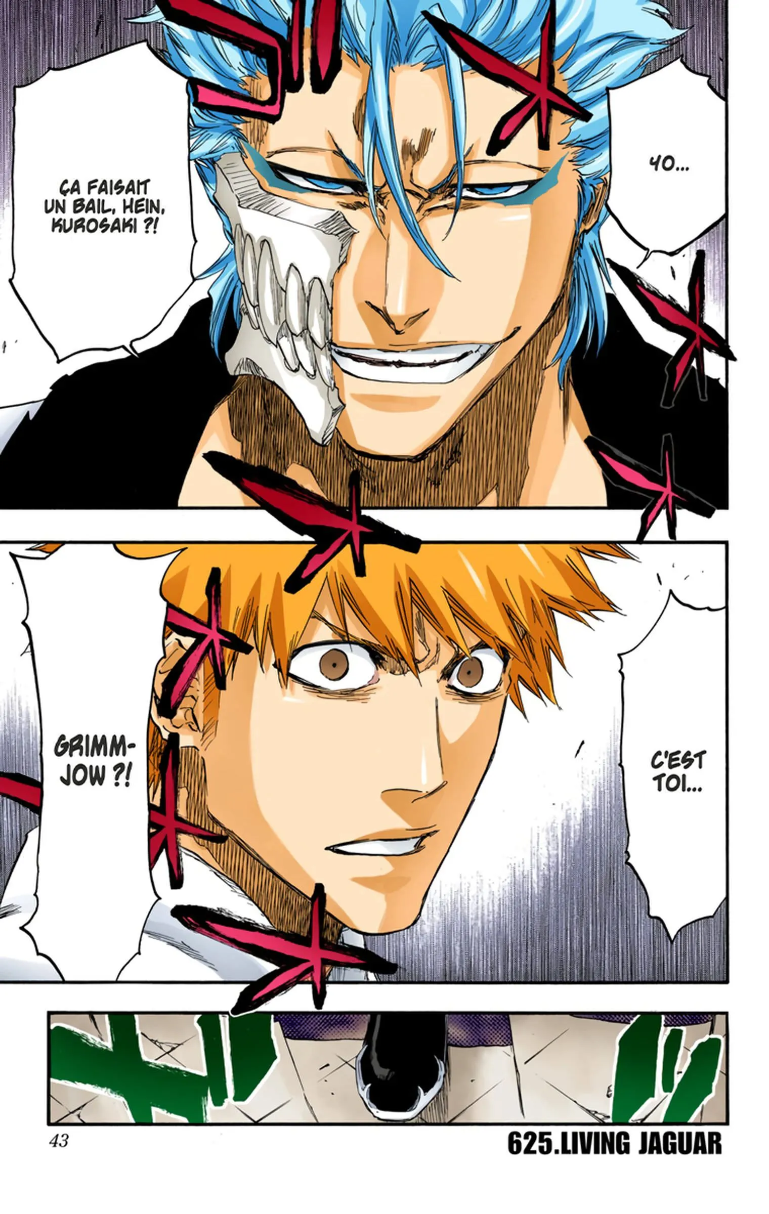 Read Bleach FR Manga Online