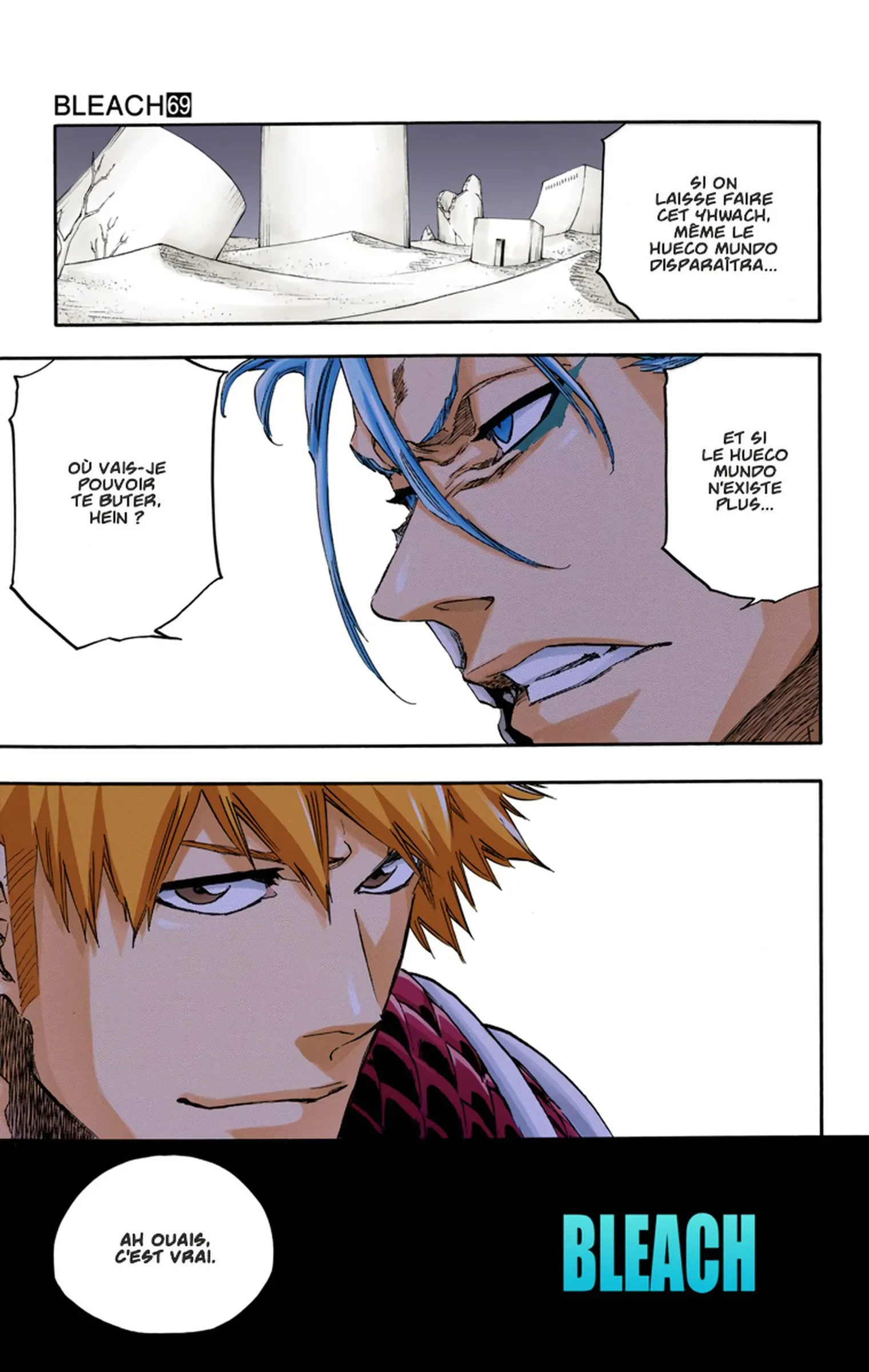 Read Bleach FR Manga Online