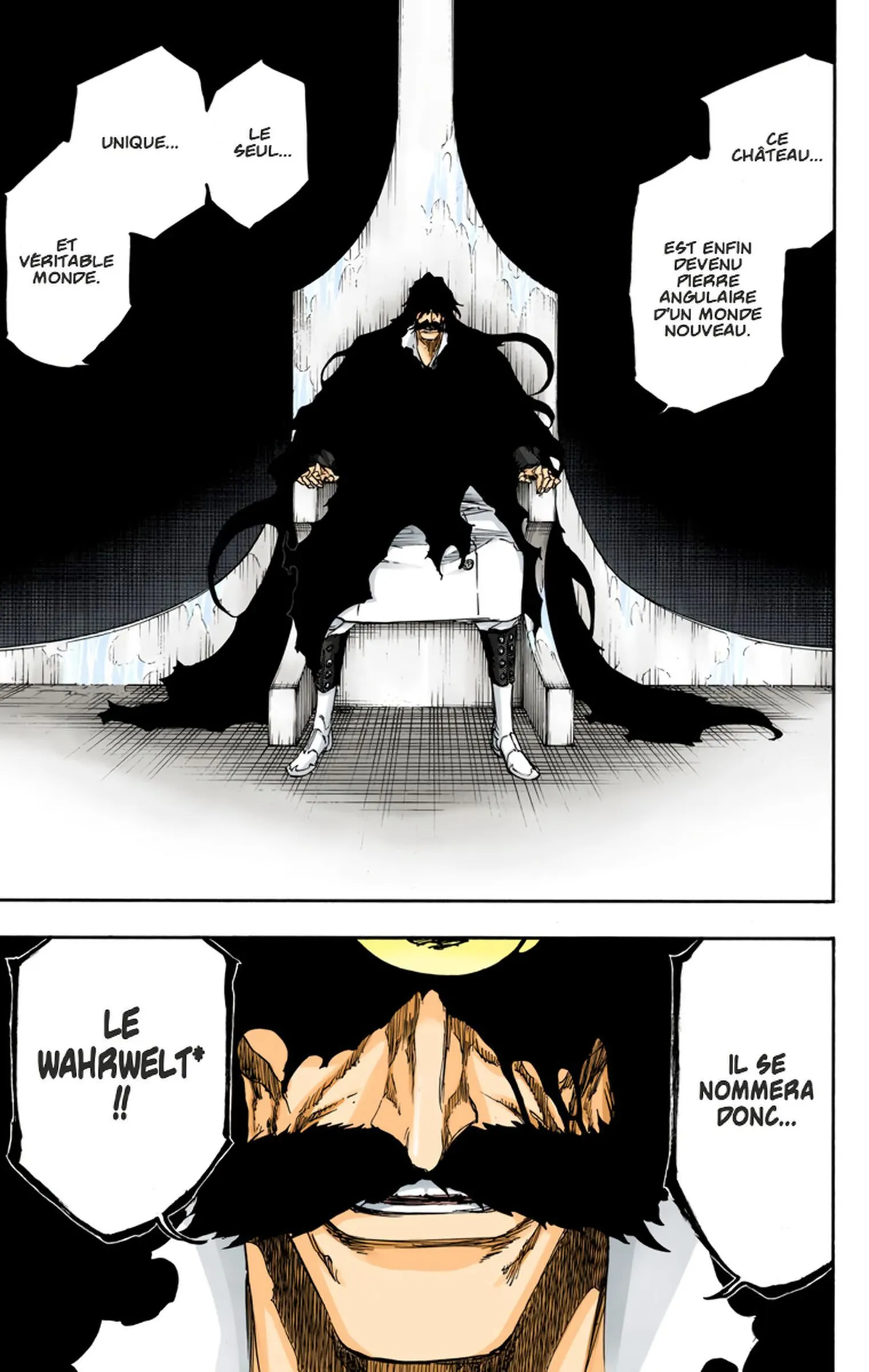 Read Bleach FR Manga Online
