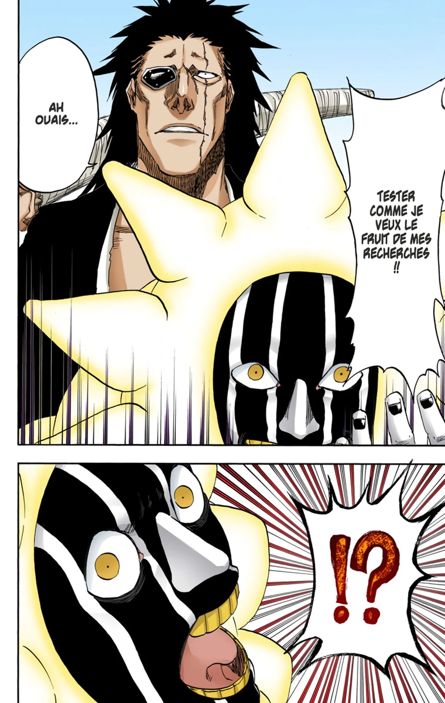 Read Bleach FR Manga Online