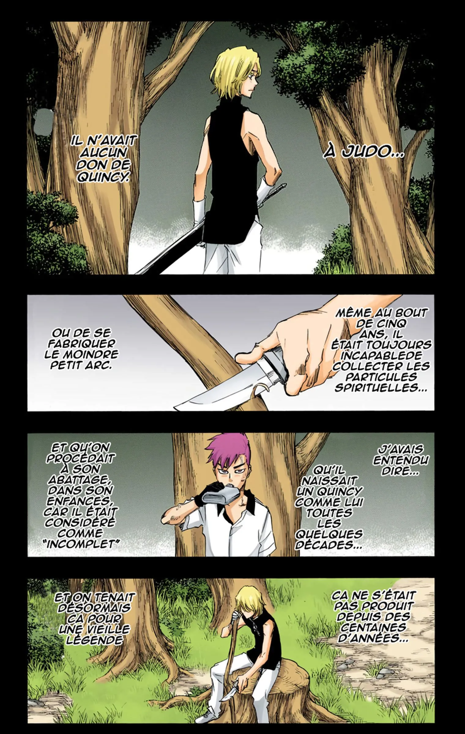 Read Bleach FR Manga Online