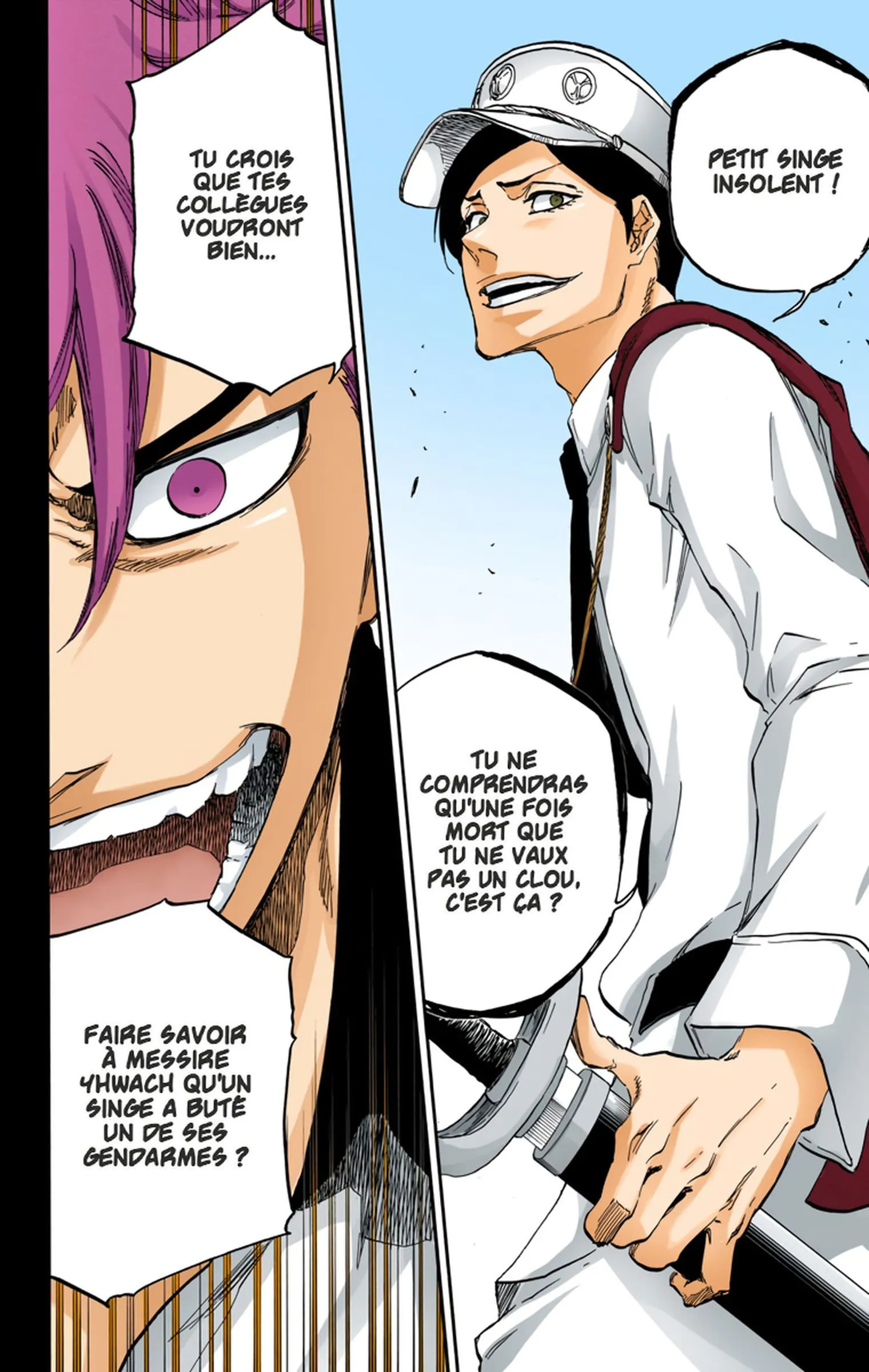 Read Bleach FR Manga Online