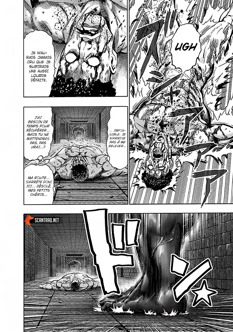 Read One-Punch Man FR Manga Online