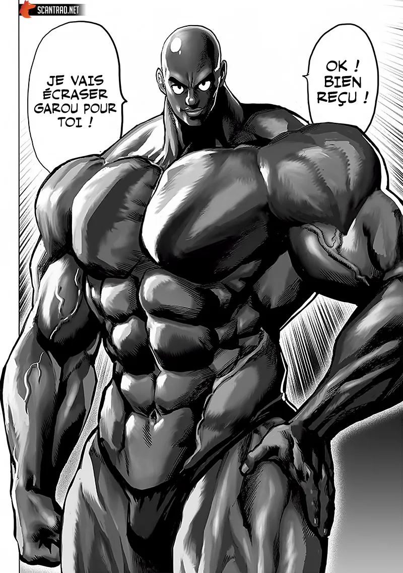 Read One-Punch Man FR Manga Online