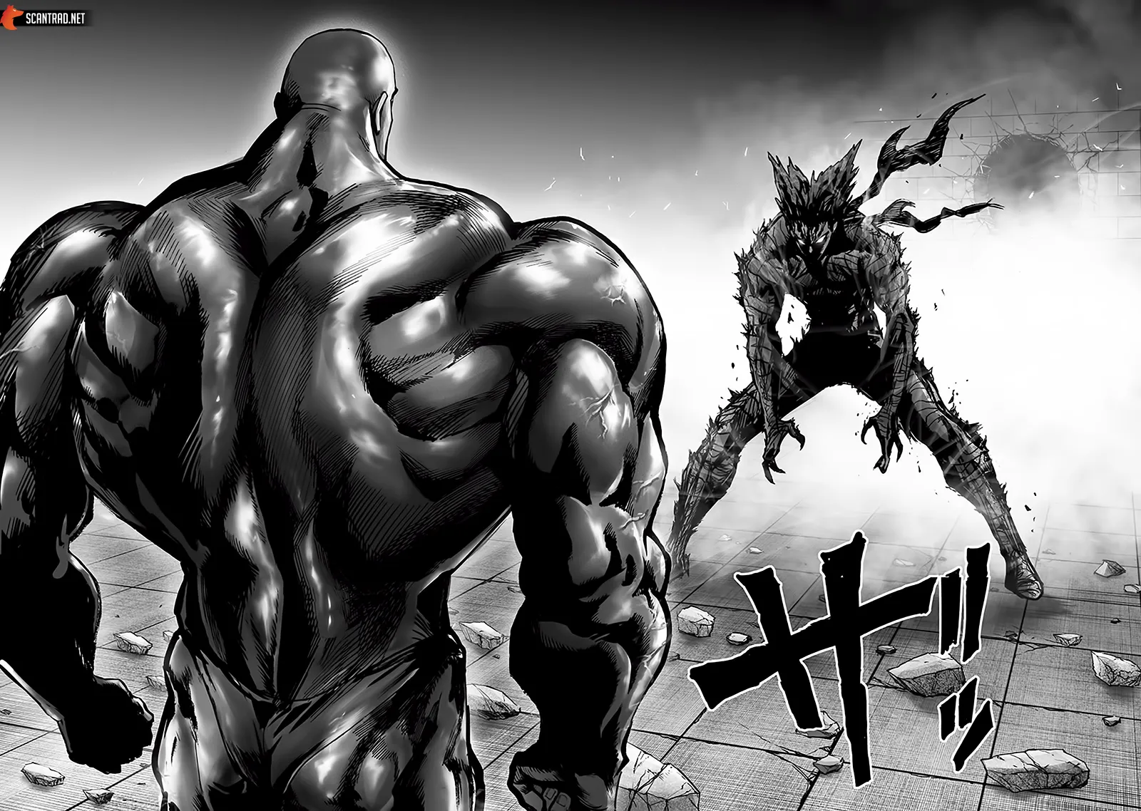 Read One-Punch Man FR Manga Online