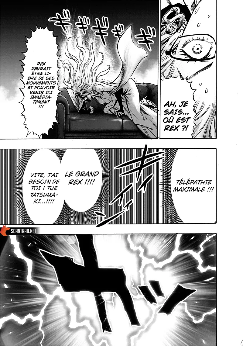 Read One-Punch Man FR Manga Online
