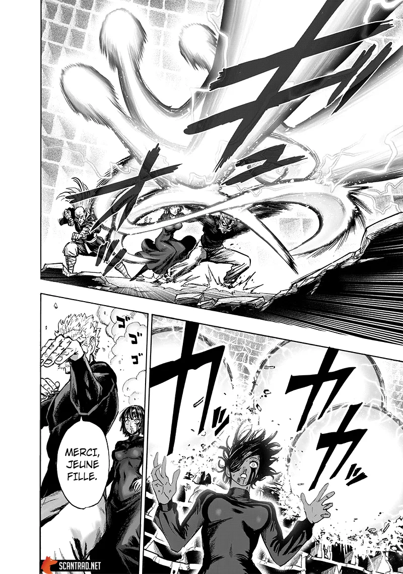 Read One-Punch Man FR Manga Online