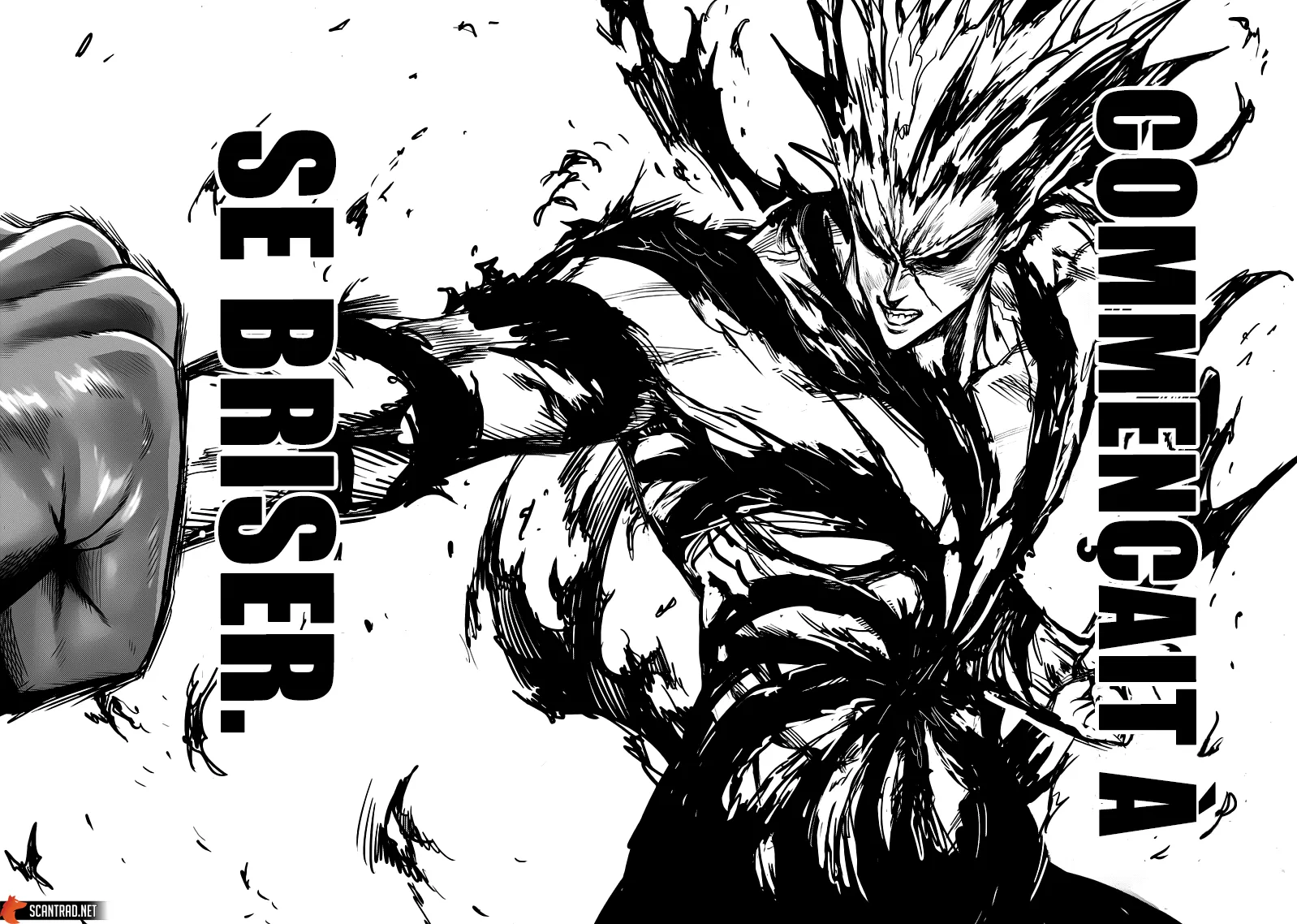 Read One-Punch Man FR Manga Online