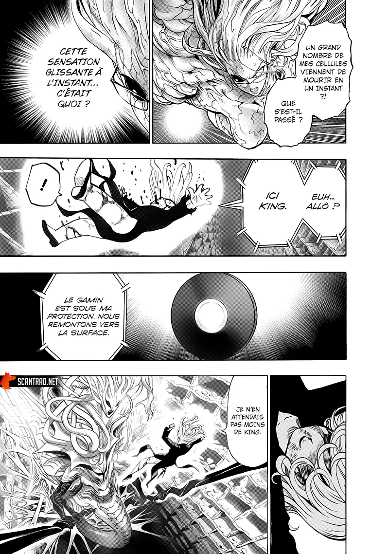 Read One-Punch Man FR Manga Online