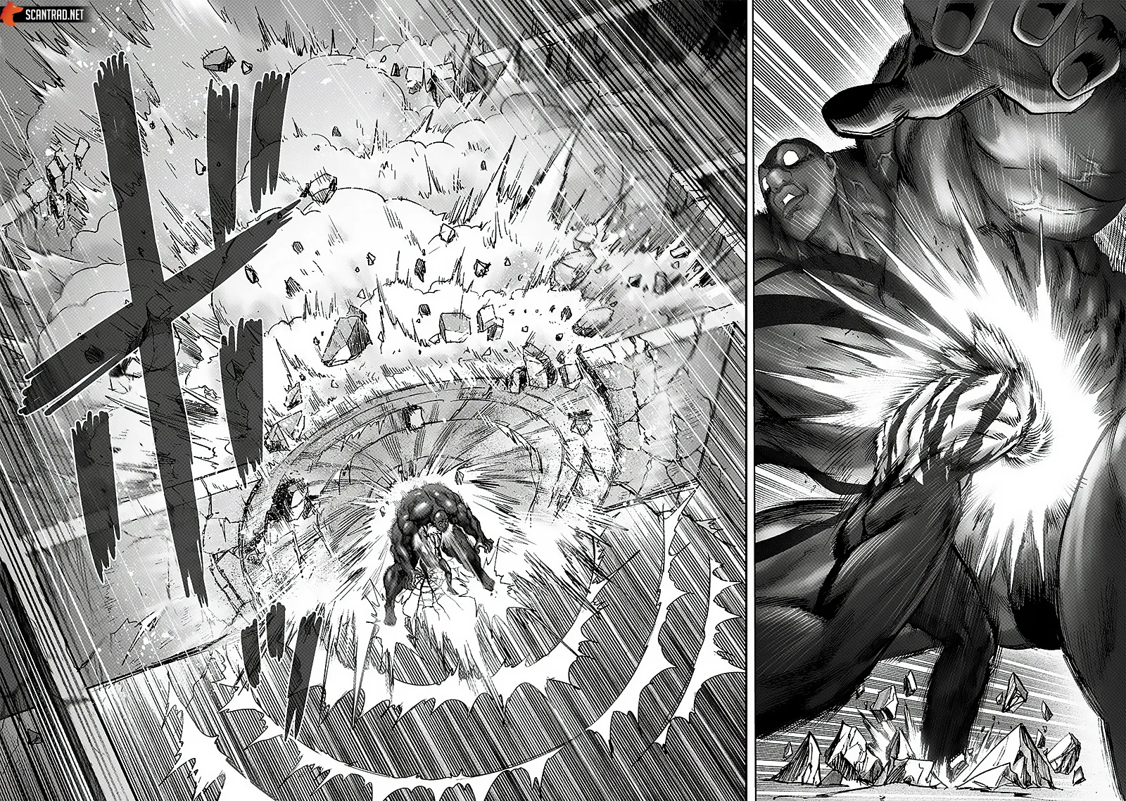 Read One-Punch Man FR Manga Online