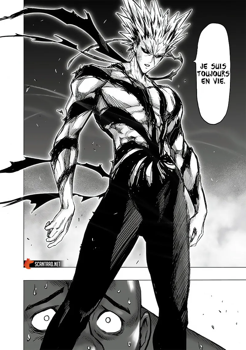 Read One-Punch Man FR Manga Online