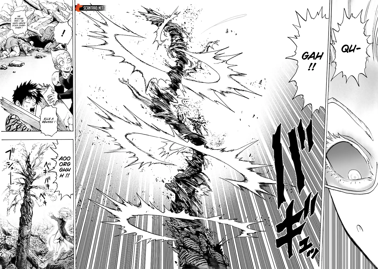 Read One-Punch Man FR Manga Online