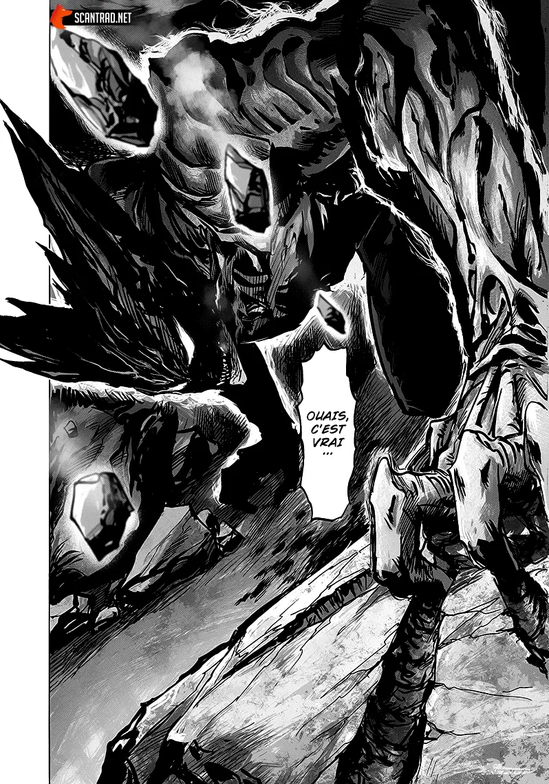 Read One-Punch Man FR Manga Online
