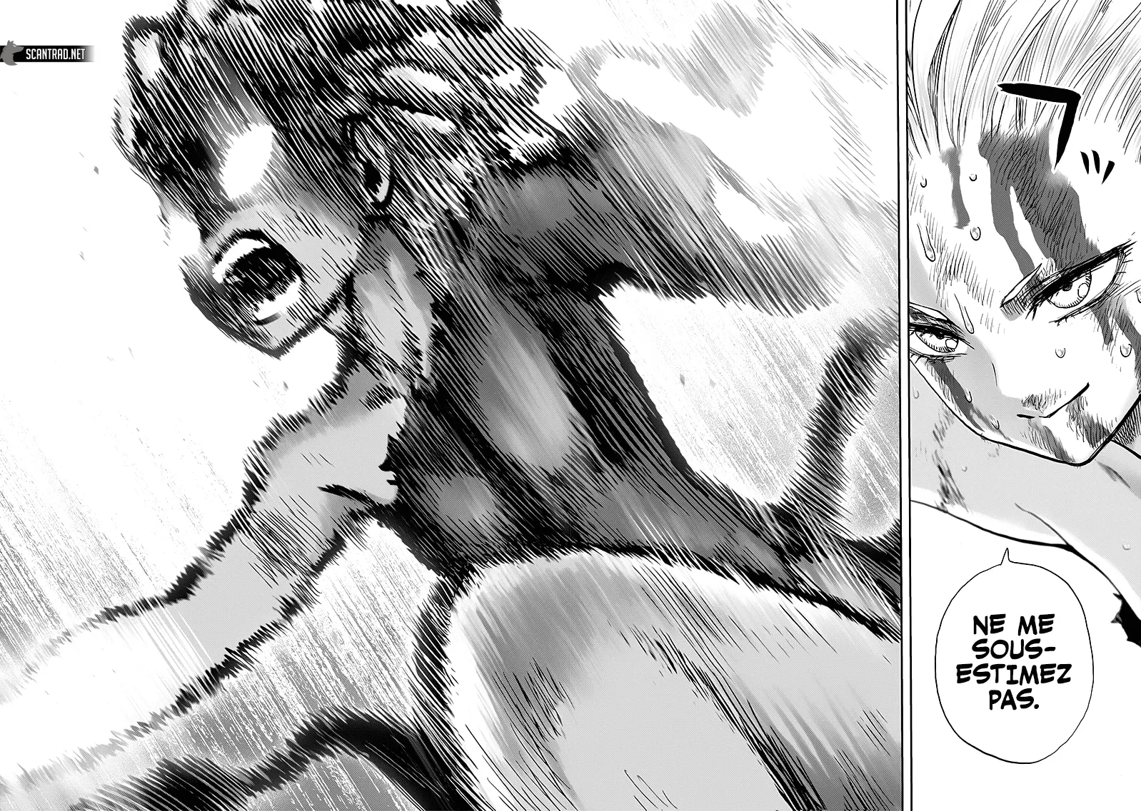 Read One-Punch Man FR Manga Online