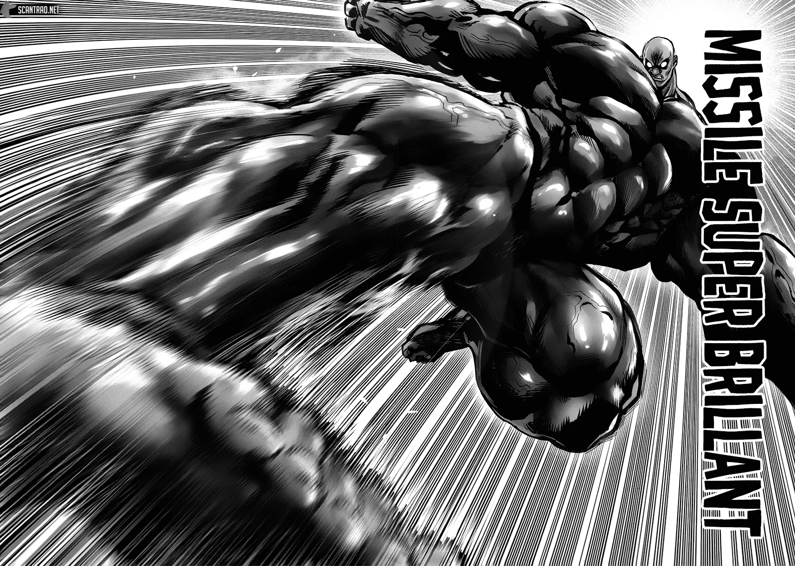 Read One-Punch Man FR Manga Online