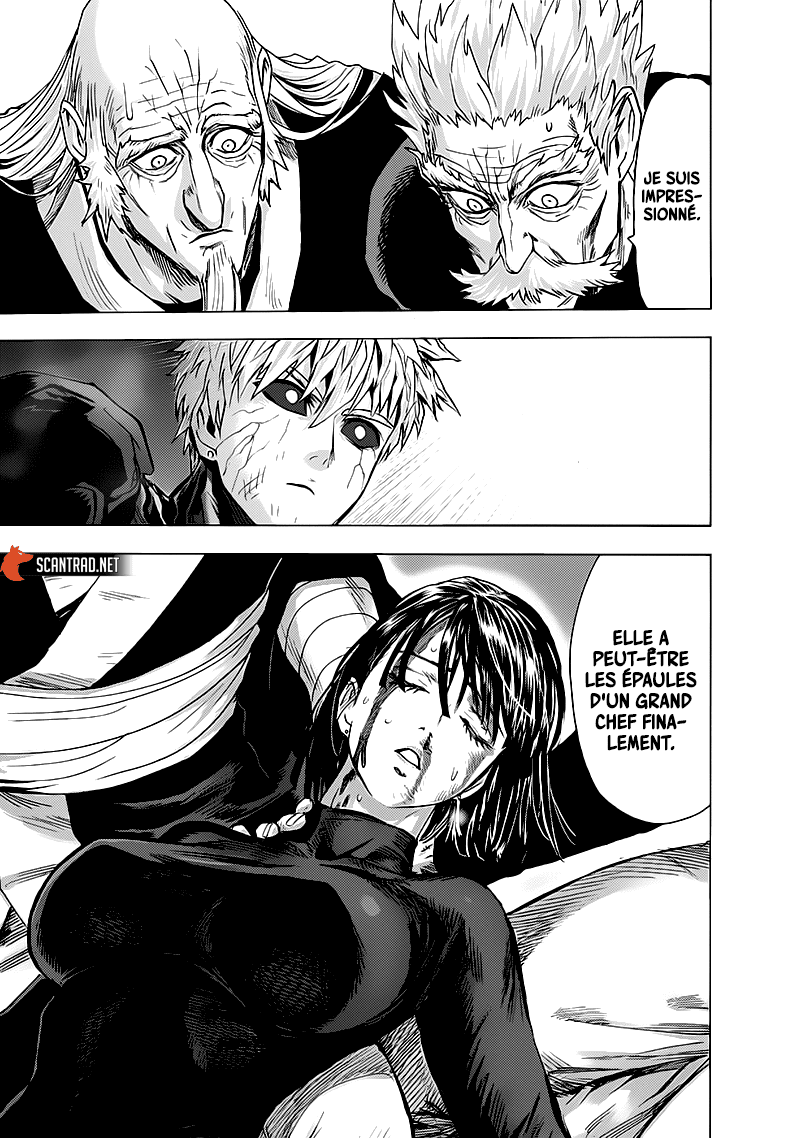 Read One-Punch Man FR Manga Online