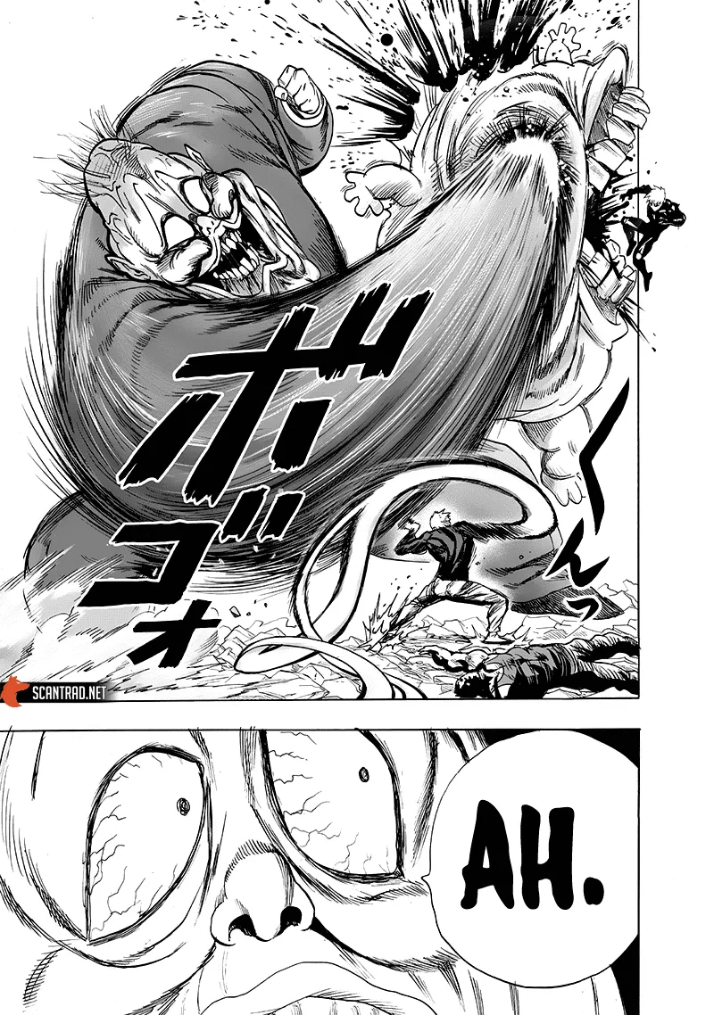 Read One-Punch Man FR Manga Online