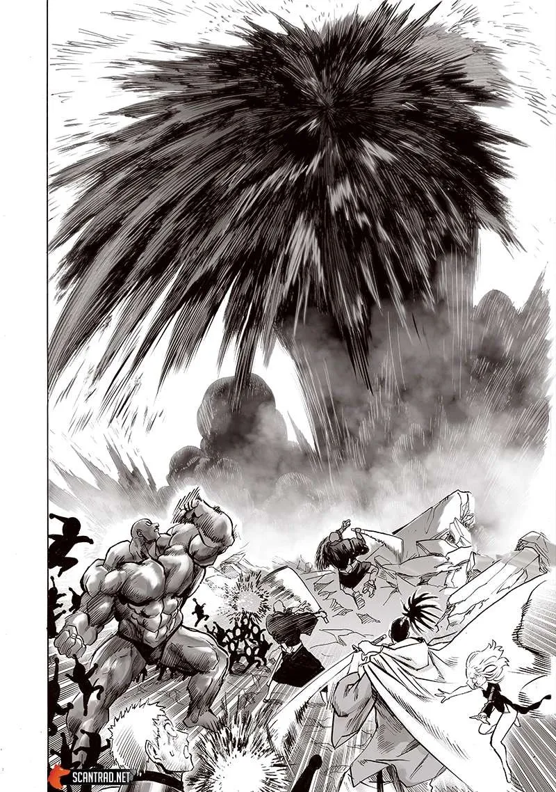 Read One-Punch Man FR Manga Online