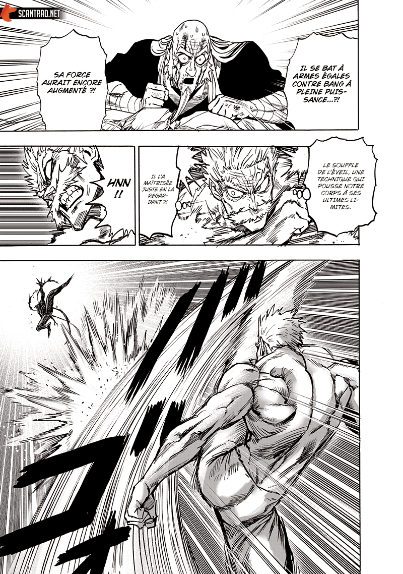 Read One-Punch Man FR Manga Online