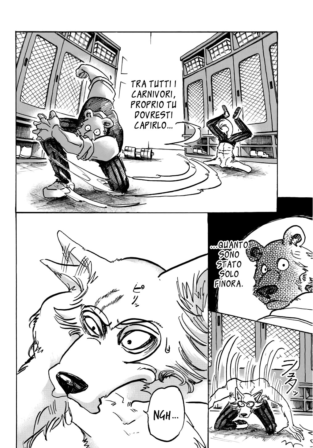 Read Beastars IT Manga Online