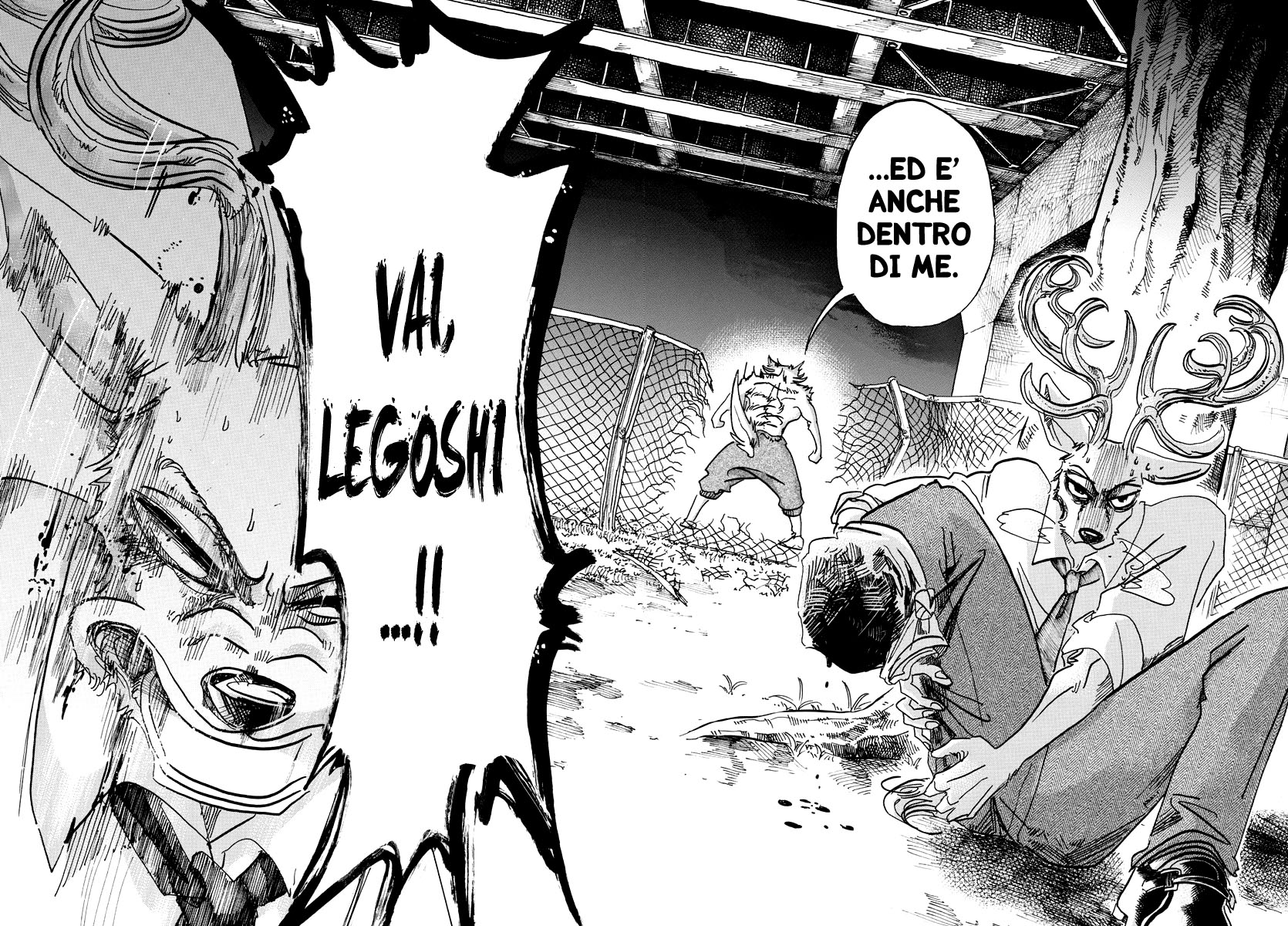 Read Beastars IT Manga Online