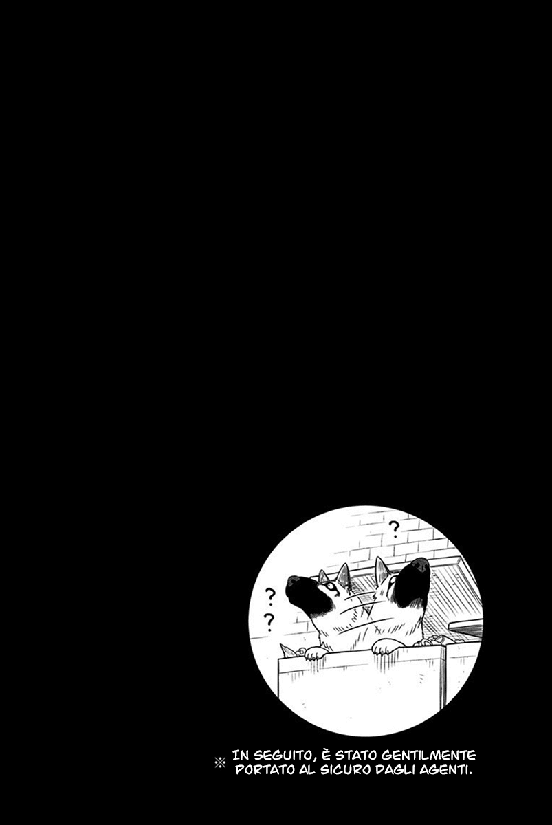 Read Spy X Family IT Manga Online