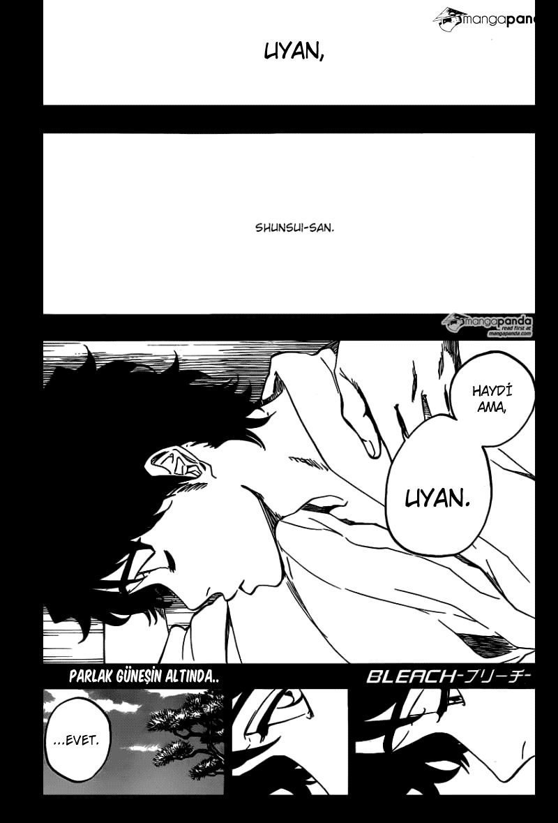 Read Bleach TR Manga Online