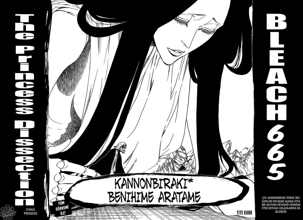 Read Bleach TR Manga Online