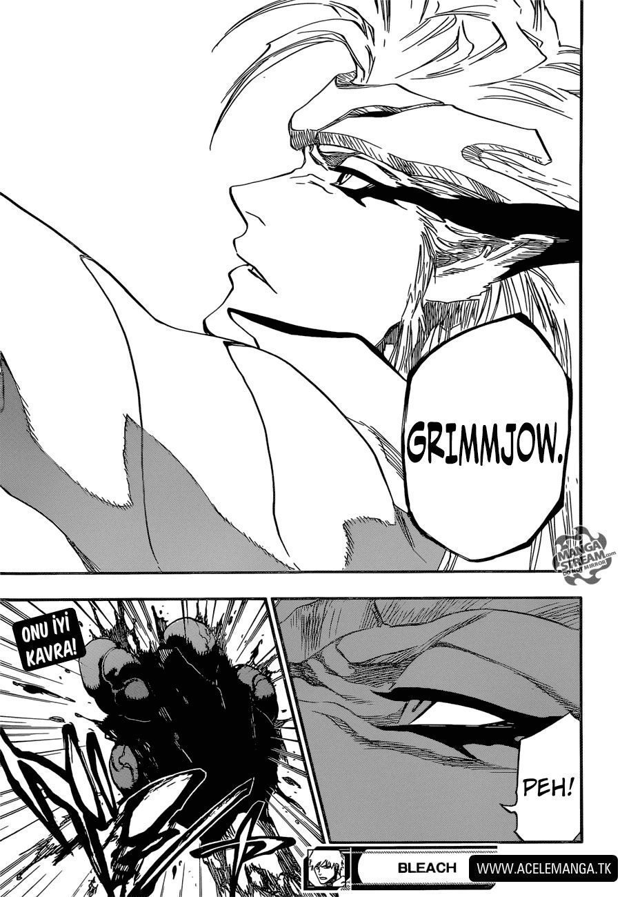 Read Bleach TR Manga Online
