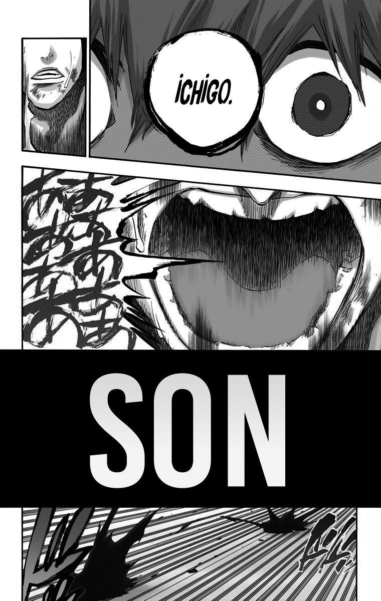 Read Bleach TR Manga Online