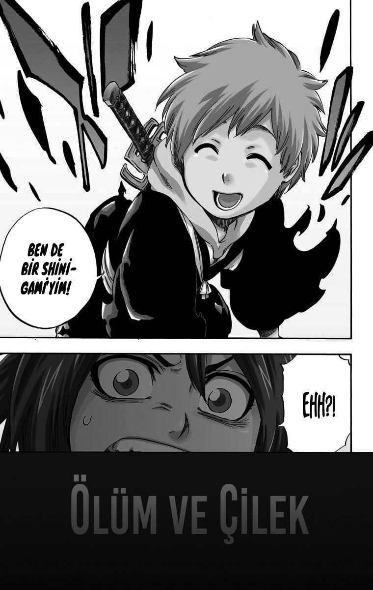 Read Bleach TR Manga Online