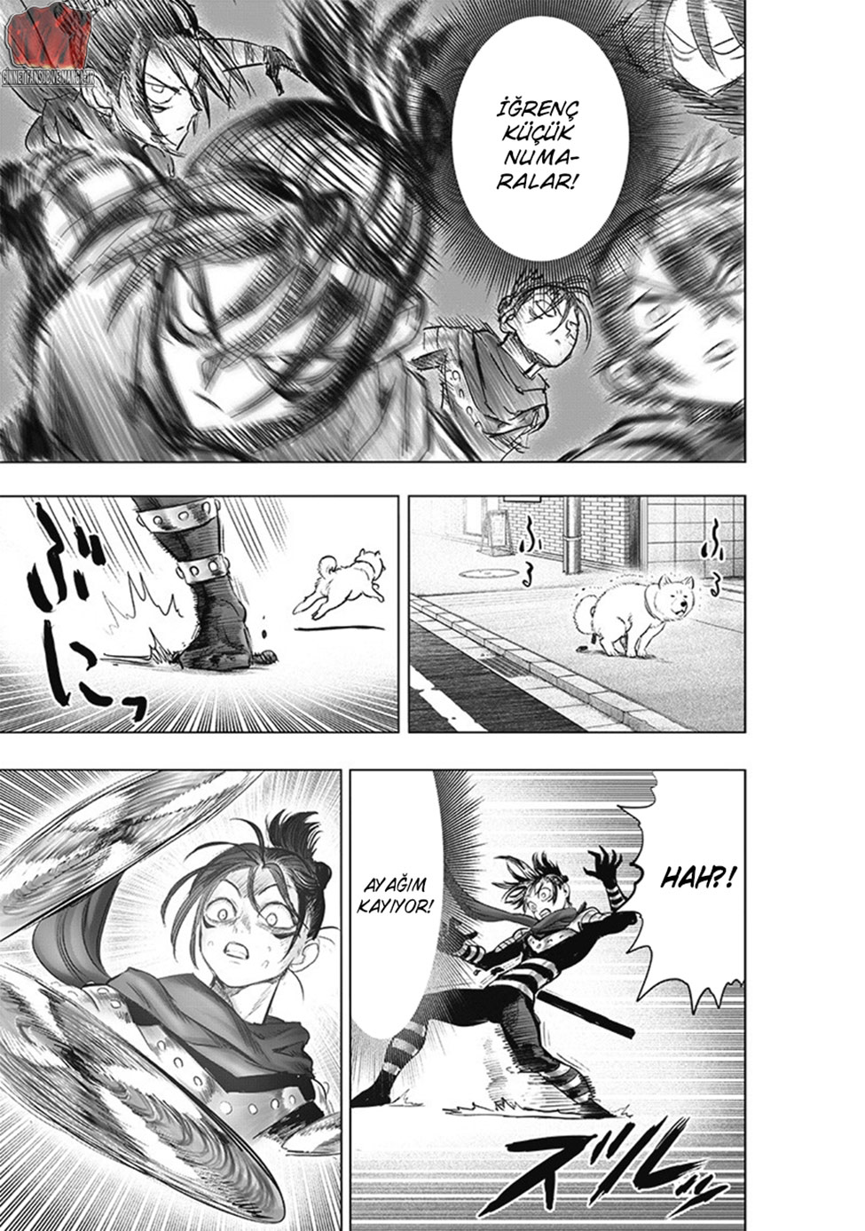 Read Tek Yumruk TR Manga Online