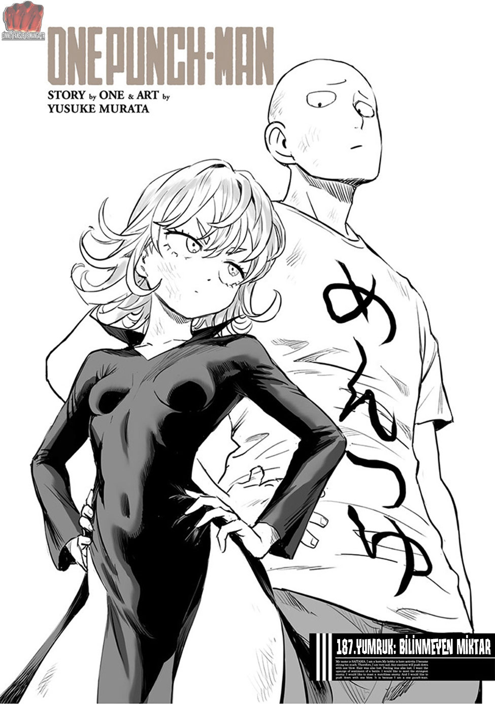 Read Tek Yumruk TR Manga Online