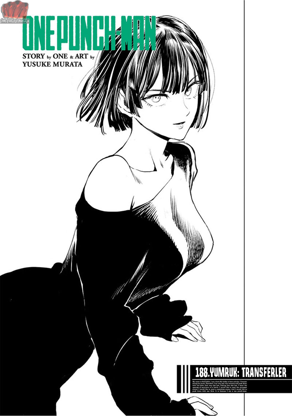 Read Tek Yumruk TR Manga Online