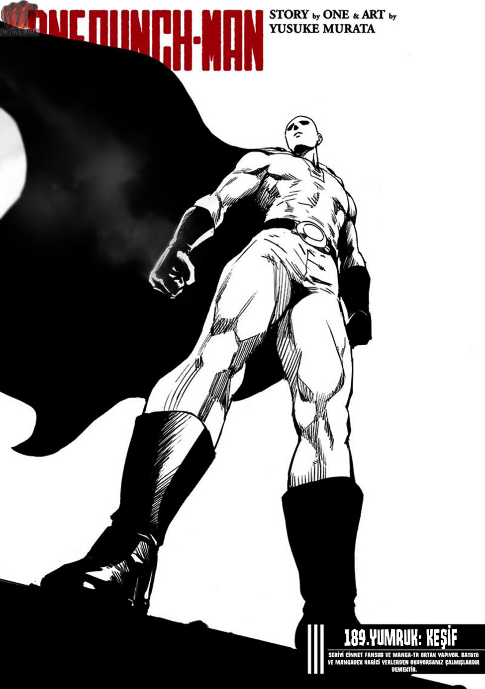 Read Tek Yumruk TR Manga Online