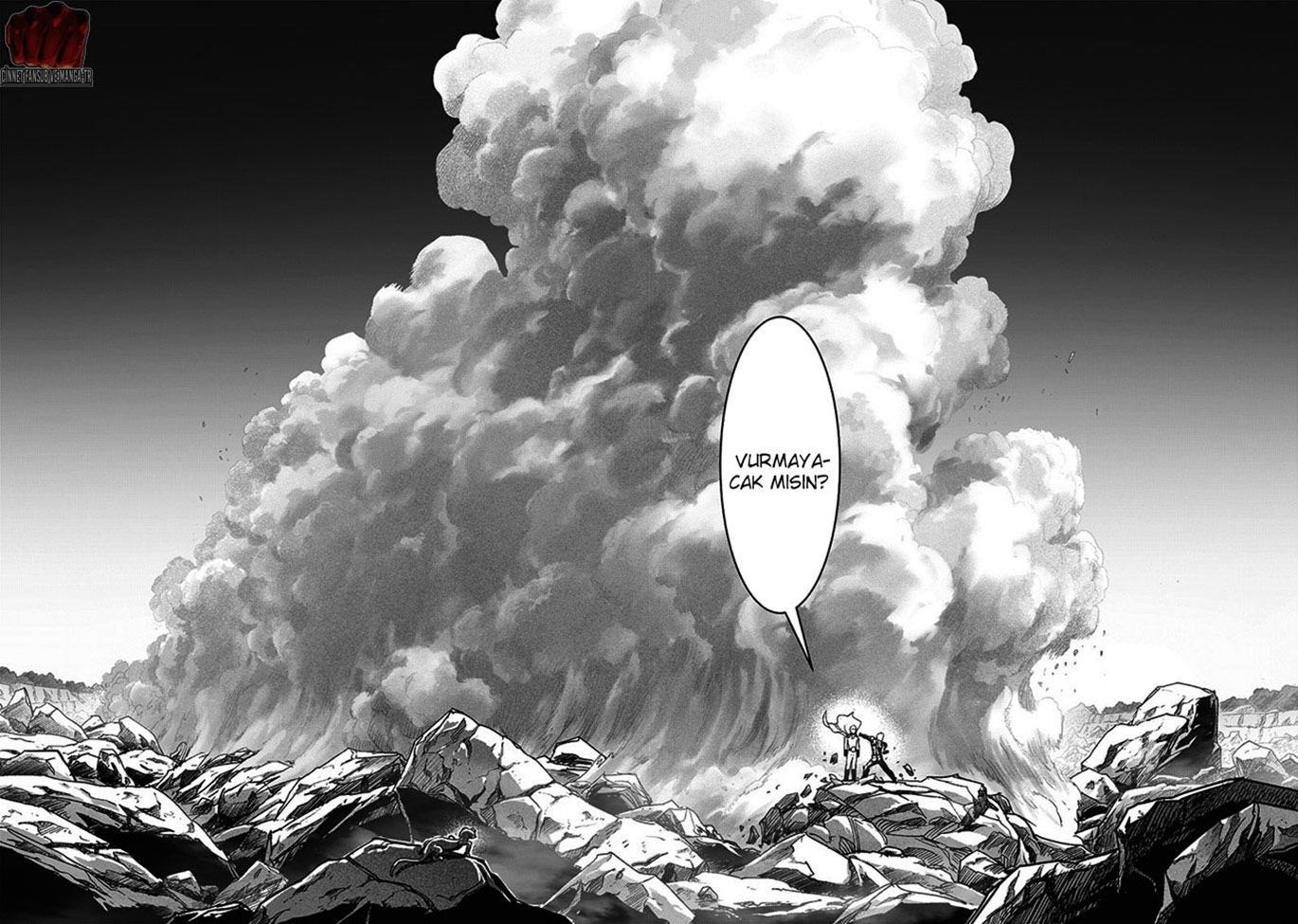 Read Tek Yumruk TR Manga Online