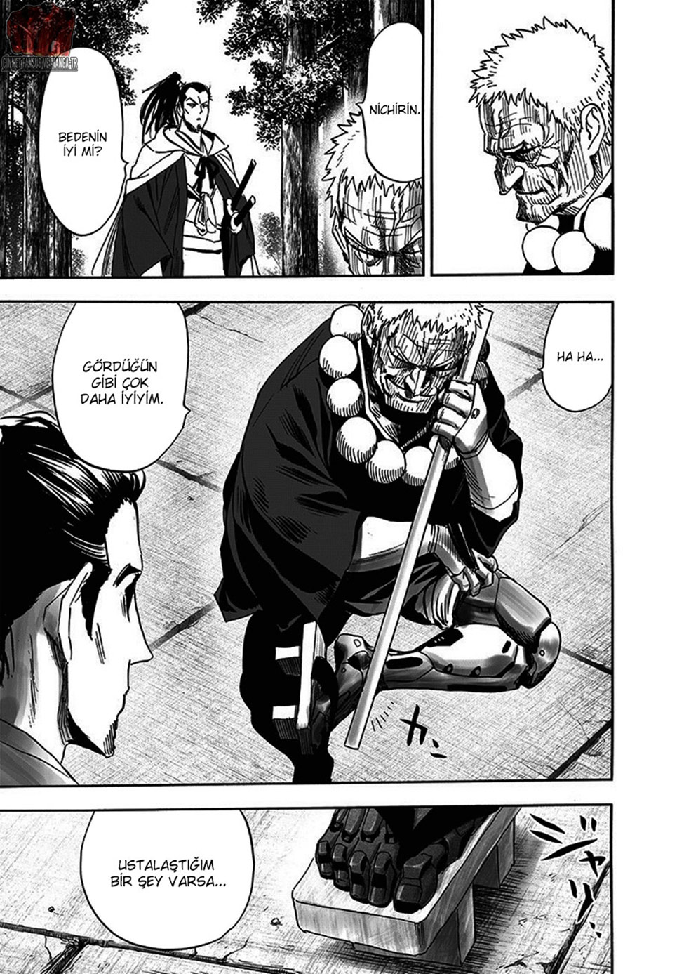 Read Tek Yumruk TR Manga Online