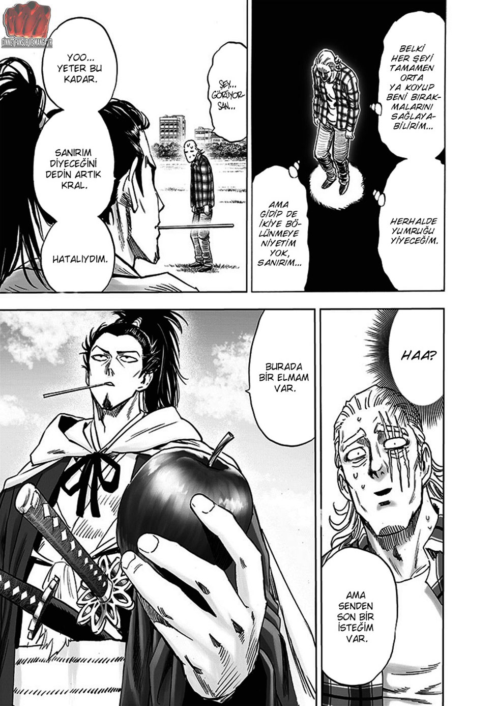 Read Tek Yumruk TR Manga Online