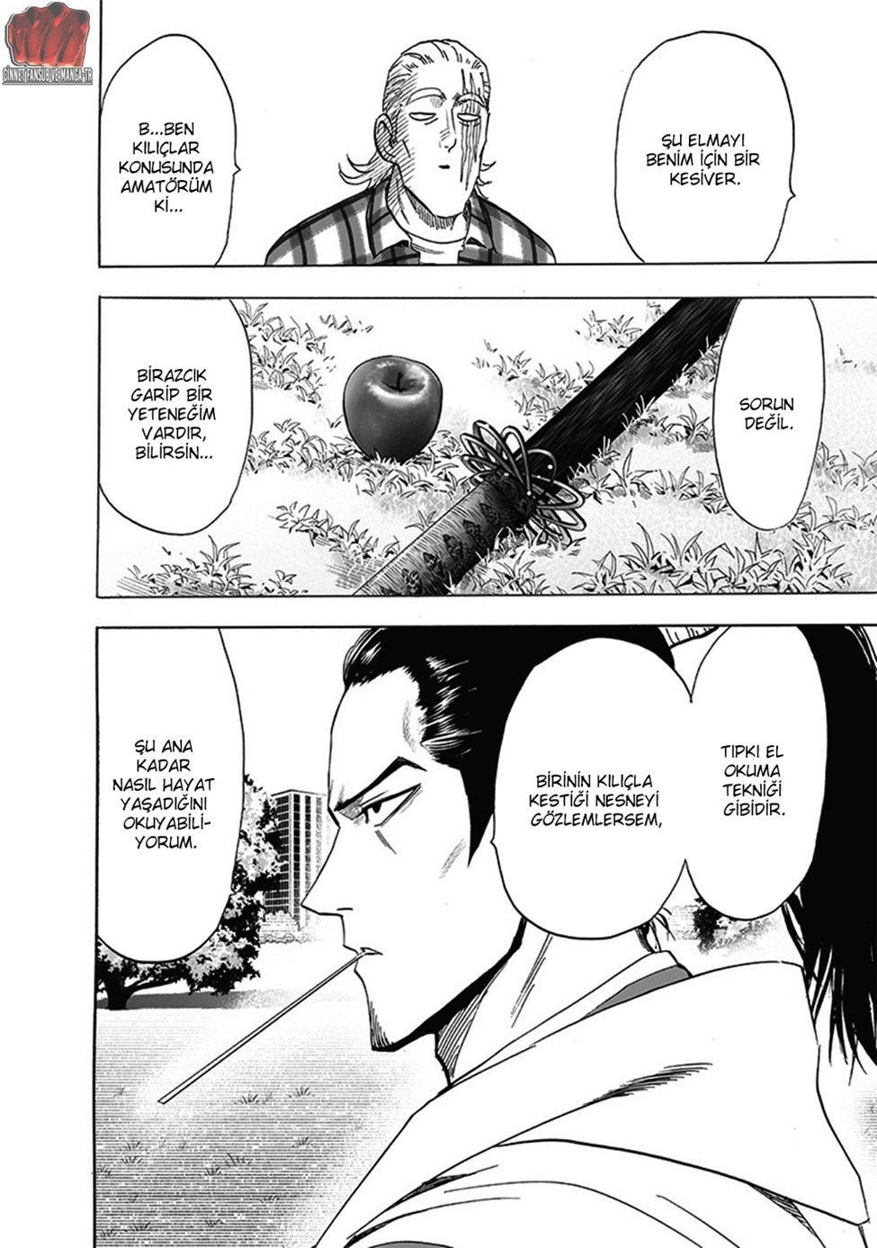 Read Tek Yumruk TR Manga Online