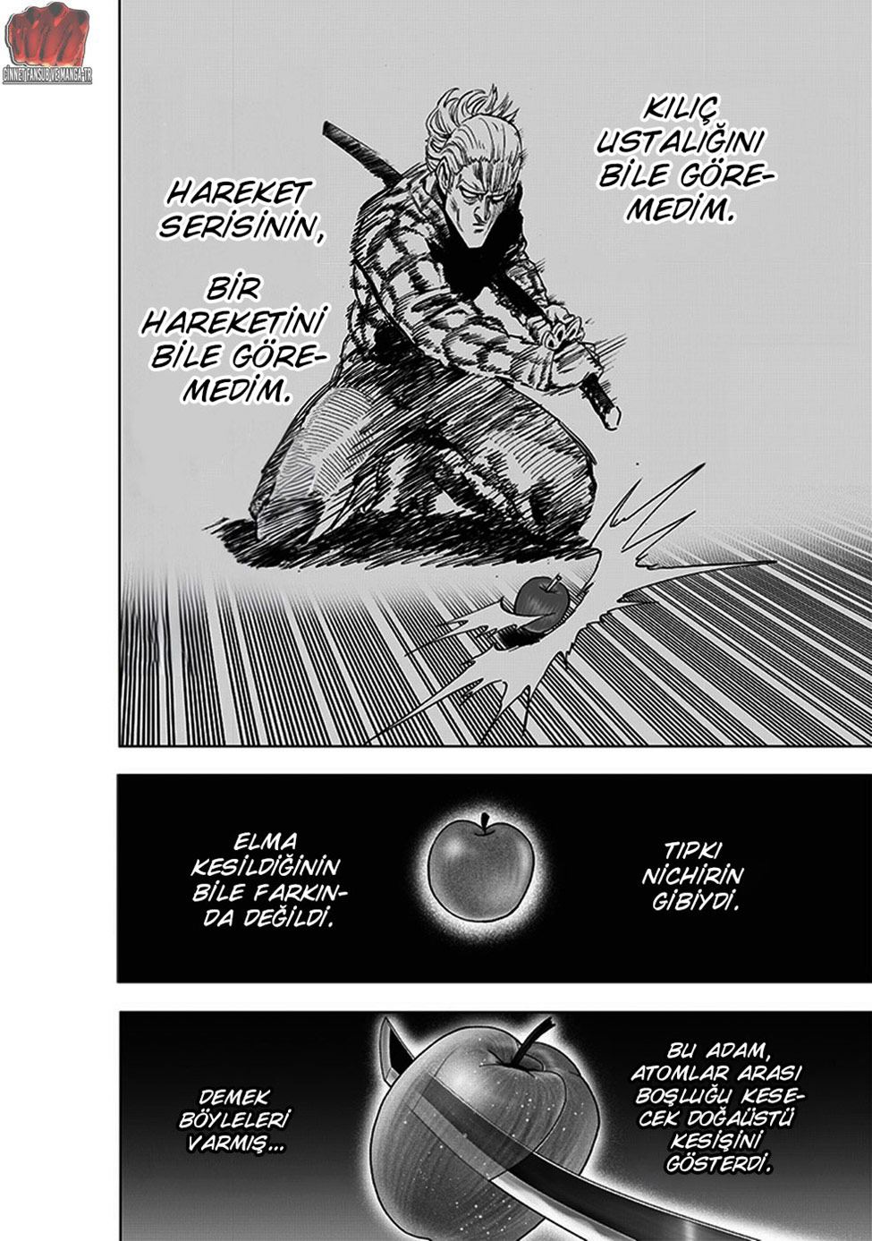 Read Tek Yumruk TR Manga Online