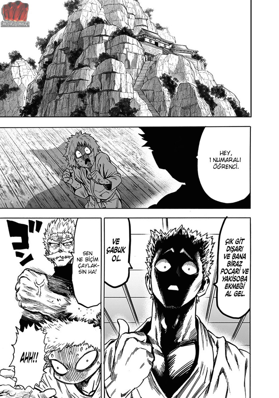 Read Tek Yumruk TR Manga Online