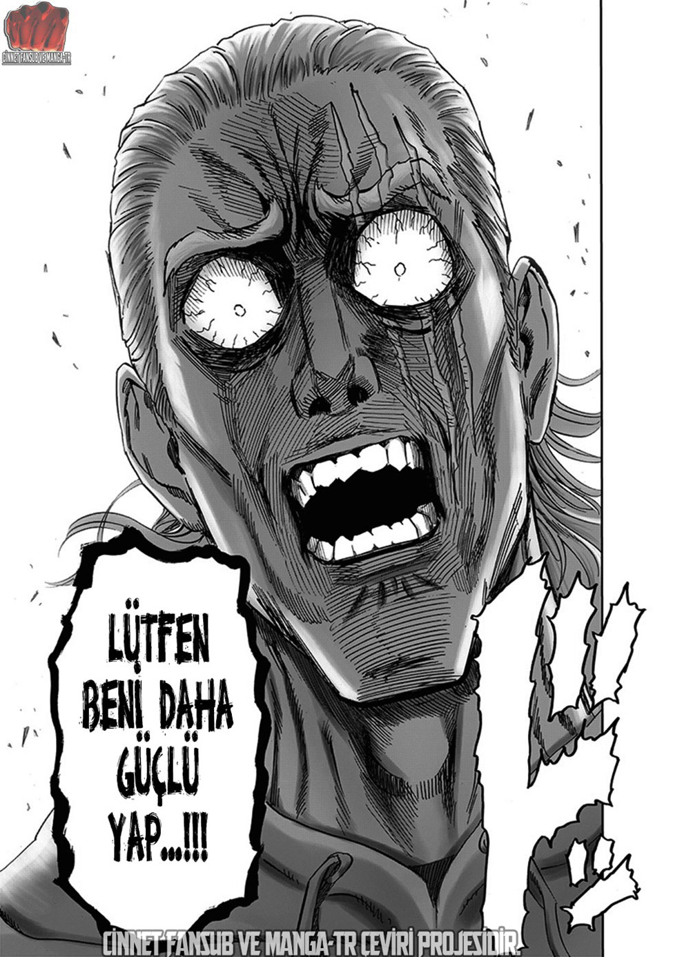 Read Tek Yumruk TR Manga Online