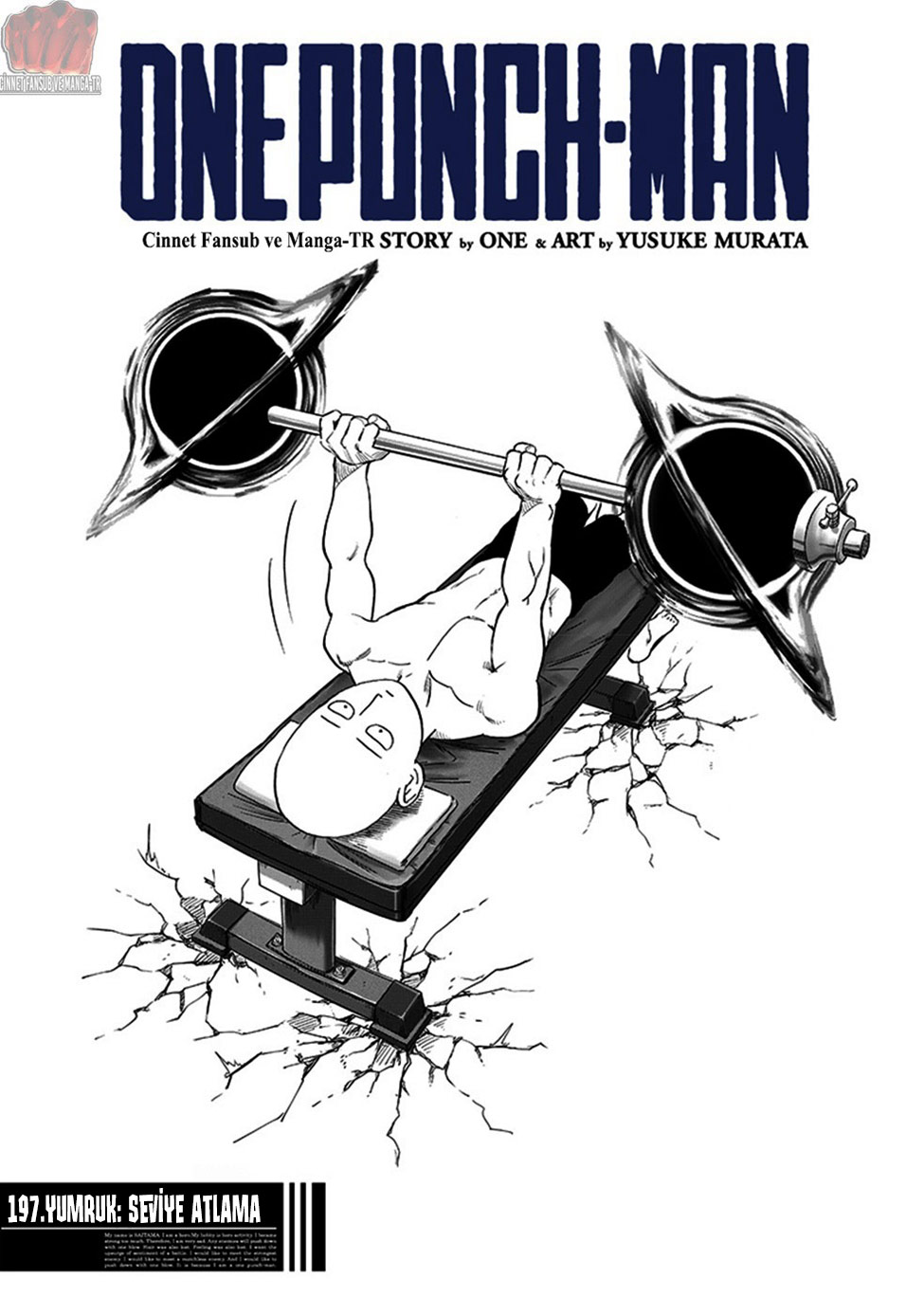 Read Tek Yumruk TR Manga Online